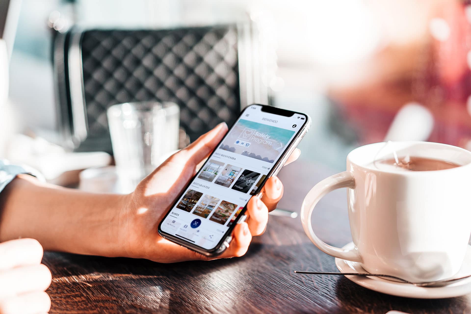 Ventajas y diferencias de una WebApp y de App Nativas